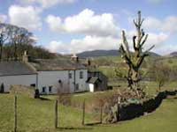 Thwaite Farm